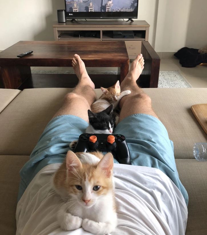 Muž relaxuje na gauči s tromi mačiatkami odpočívajúcimi na jeho nohách, s herným ovládačom na kolenách.