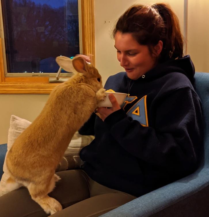 Žena sedí v kresle a kŕmi z misiek veľkého hnedého zajaca, ktorý stojí na zadných nohách.