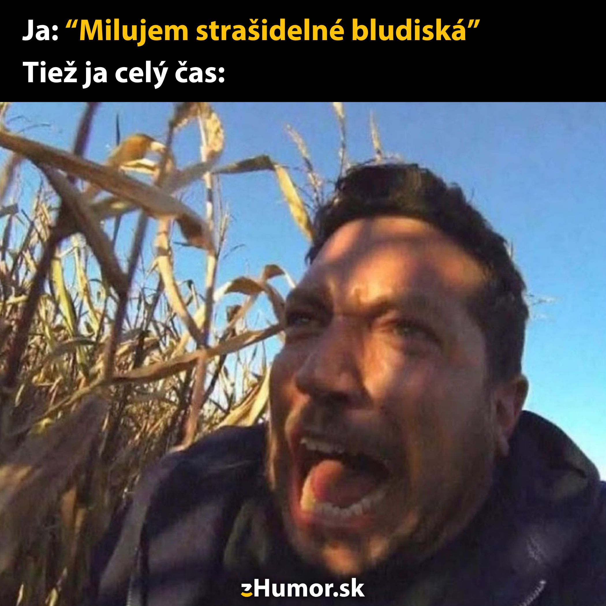 Osoba kričí v poli, výraz strachu, text o strašidelných bludiskách.