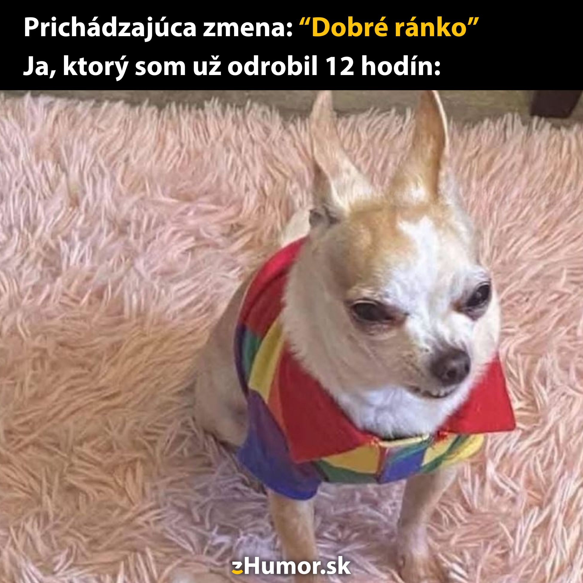 Pes v kostýme s ironickým pohľadom na ružovom koberci. Text: Prichádzajúca zmena: 'Dobré ránko'...