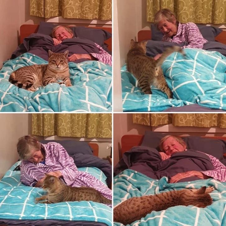 Staršia pani v posteli s mačkou, usmievajú sa a relaxujú pod modrou dekou.