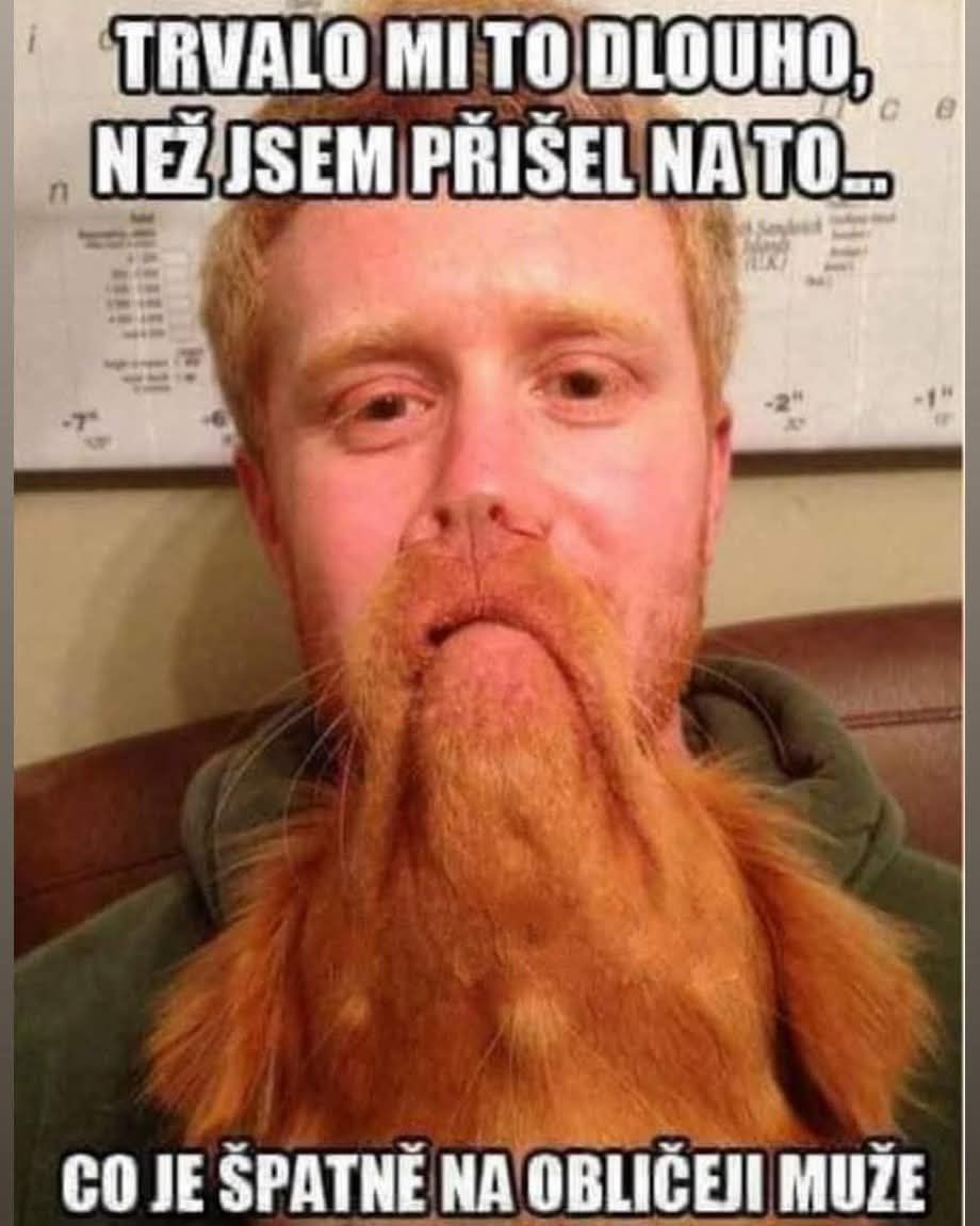 Muž s mačkou položenou na tvári ako falošný fúz, vtipný moment plný humoru.