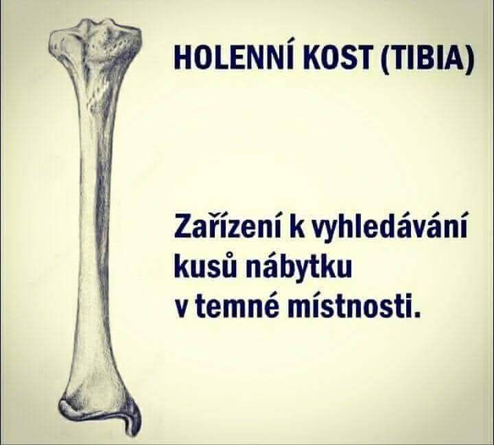 Holenná kosť s vtipným popisom ako nástroj na narážanie do nábytku v tme.