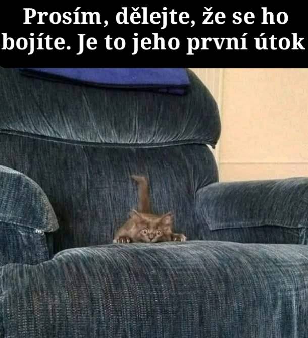 Malé mačiatko vykúka zo sedačky, pripravené na hravý útok.