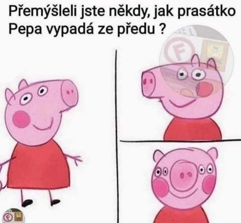 Karikatúra znázorňujúca prasiatko s pohľadom spredu, humoristicky zobrazené s viacerými očami.