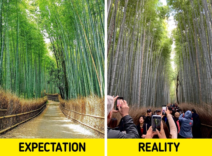 Očakávanie vs. realita: Bambusový les s prázdnou cestou a rovnaký les preplnený turistami fotiacimi tú scénu.