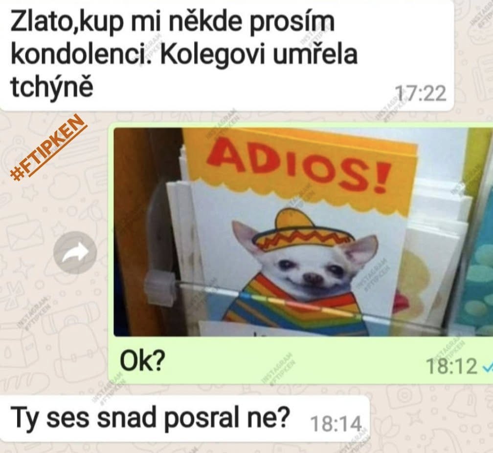 Humorné textové správy o kúpe nevhodnej kondolenčnej karty s obrázkom psa a nápisom ADIOS!