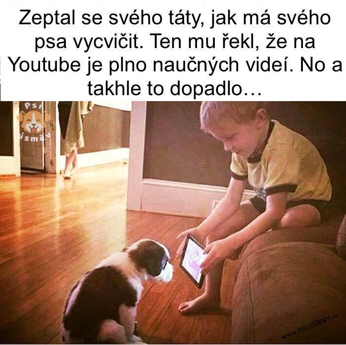 Dieťa ukazuje šteniatku tablet, aby ho naučilo, ako trénovať podľa videí na YouTube.
