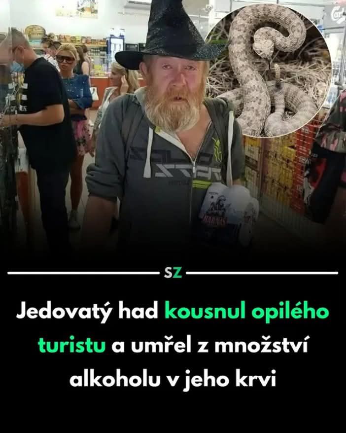 Opitý turista kúsol hadom, had zomrel na alkohol v krvi obete, surrealistická situácia v obchode.
