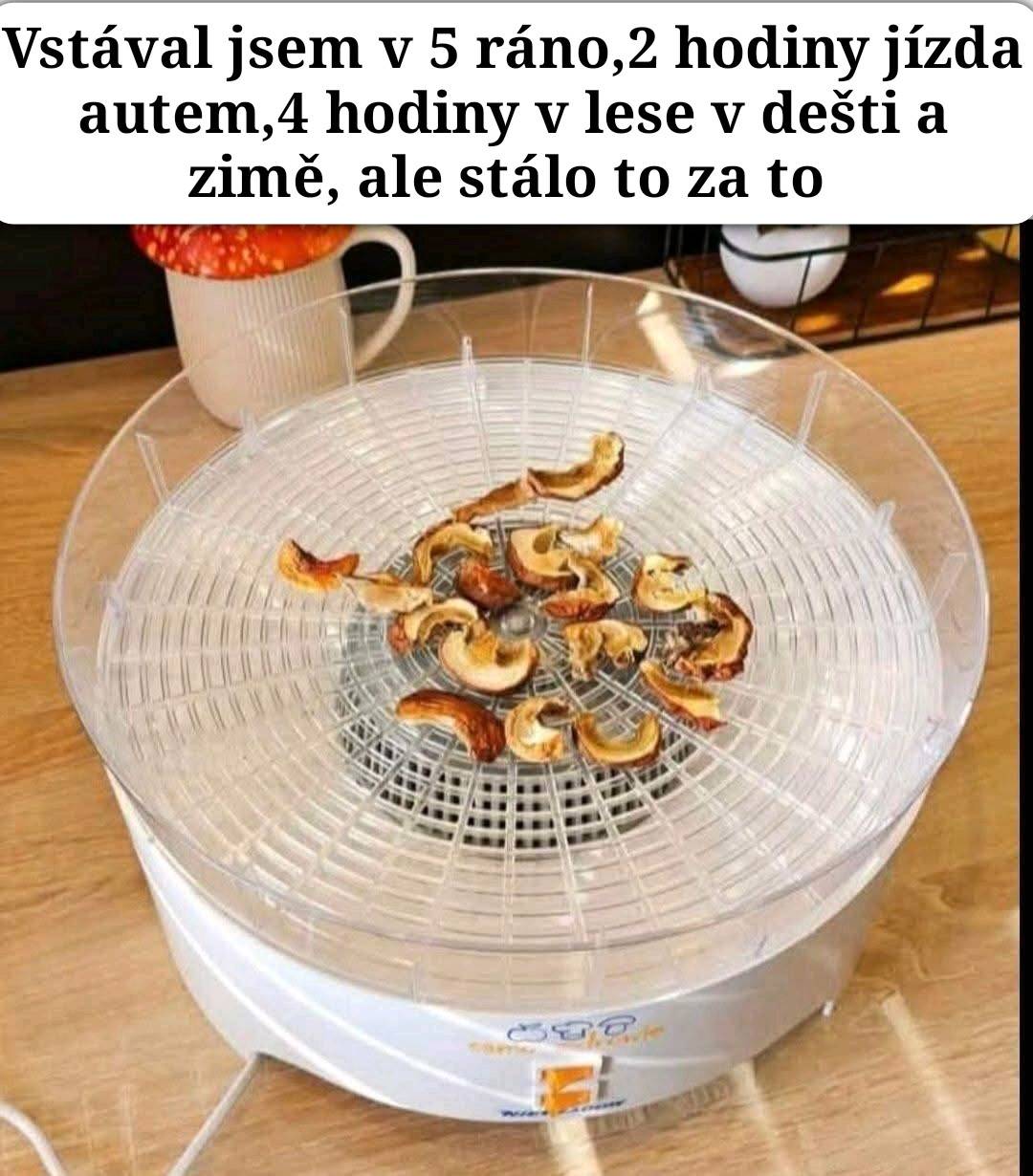 Sušenie húb v sušičke potravín na drevenom stole. Hríby pripravené na zimné zásoby po dave z lesa.