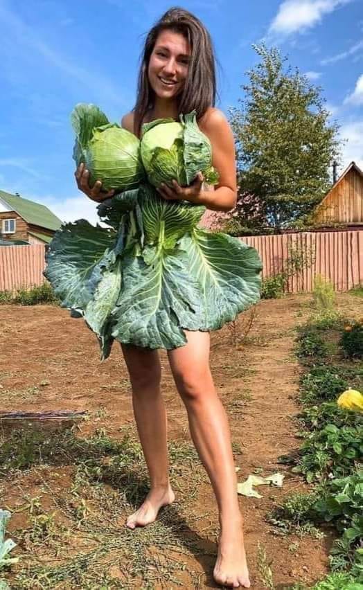 Žena v záhrade drží veľké hlávky kapusty, oblečená v šatách z kapustových listov, za slnečného počasia.