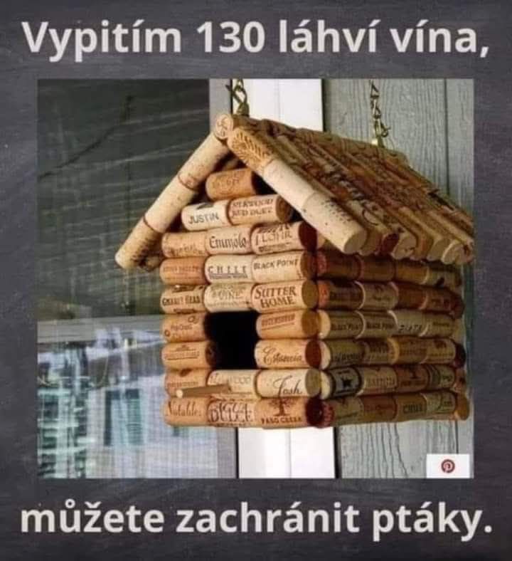 Domček pre vtáky vyrobený z korkových zátok z fliaš vína, originálne riešenie na recykláciu.