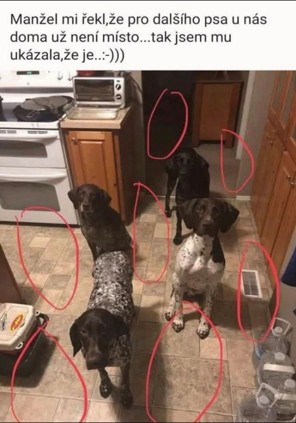 Štyri psy v kuchyni, miesta označené červenými kruhmi. Vtipný popis naznačuje priestor pre ďalšieho psa.
