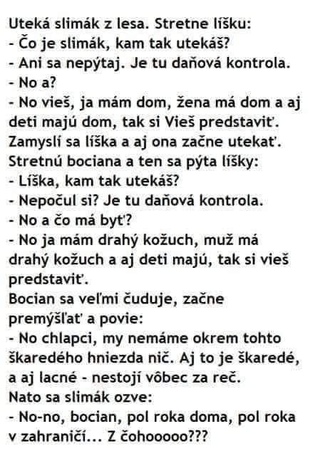 Humorný dialóg zvierat o daňovej kontrole: slimák, líška a bocian diskutujú o svojich majetkoch a strachoch.