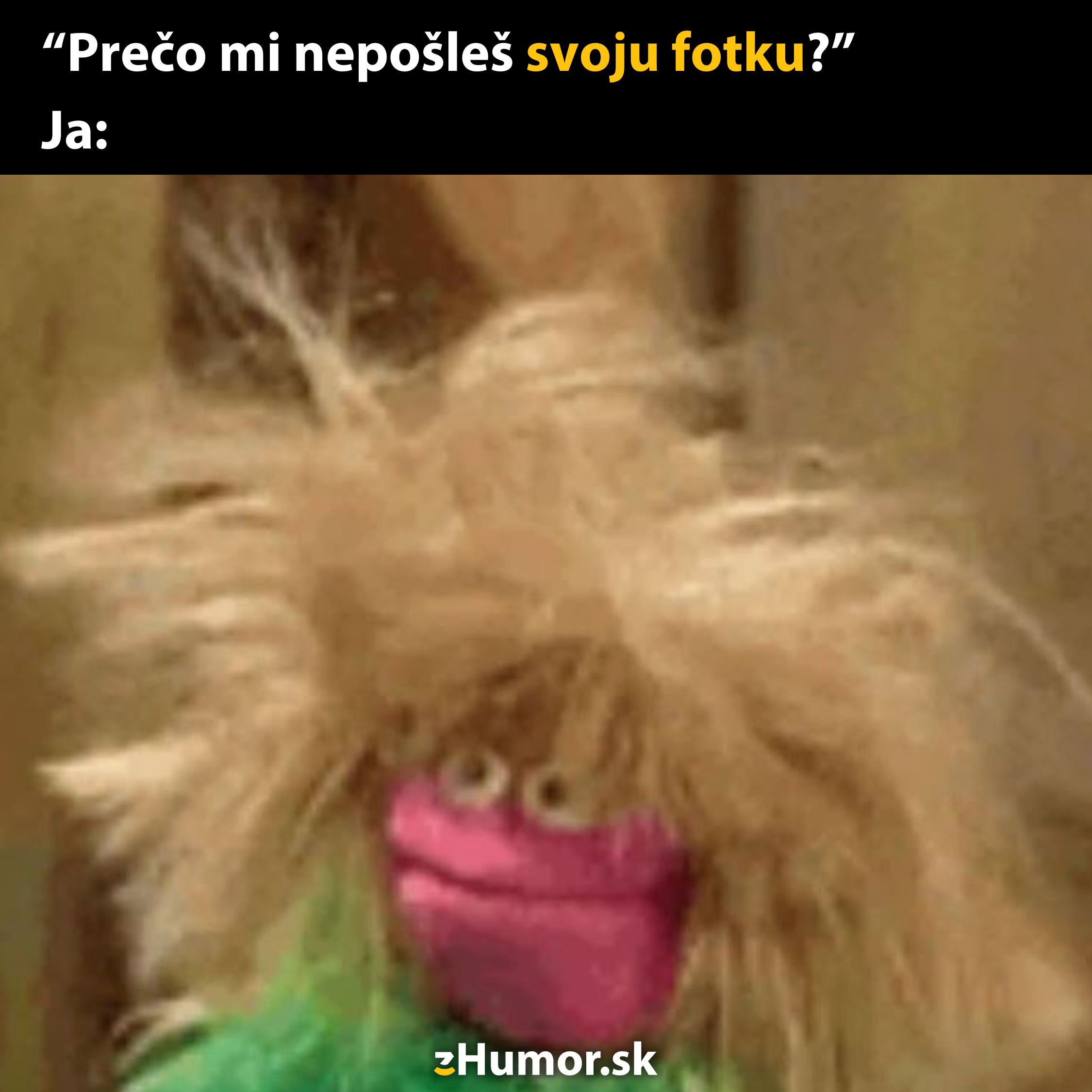 Bábka s divokými vlasmi a telom v zelenej farbe reaguje na otázku o odoslaní svojej fotky.