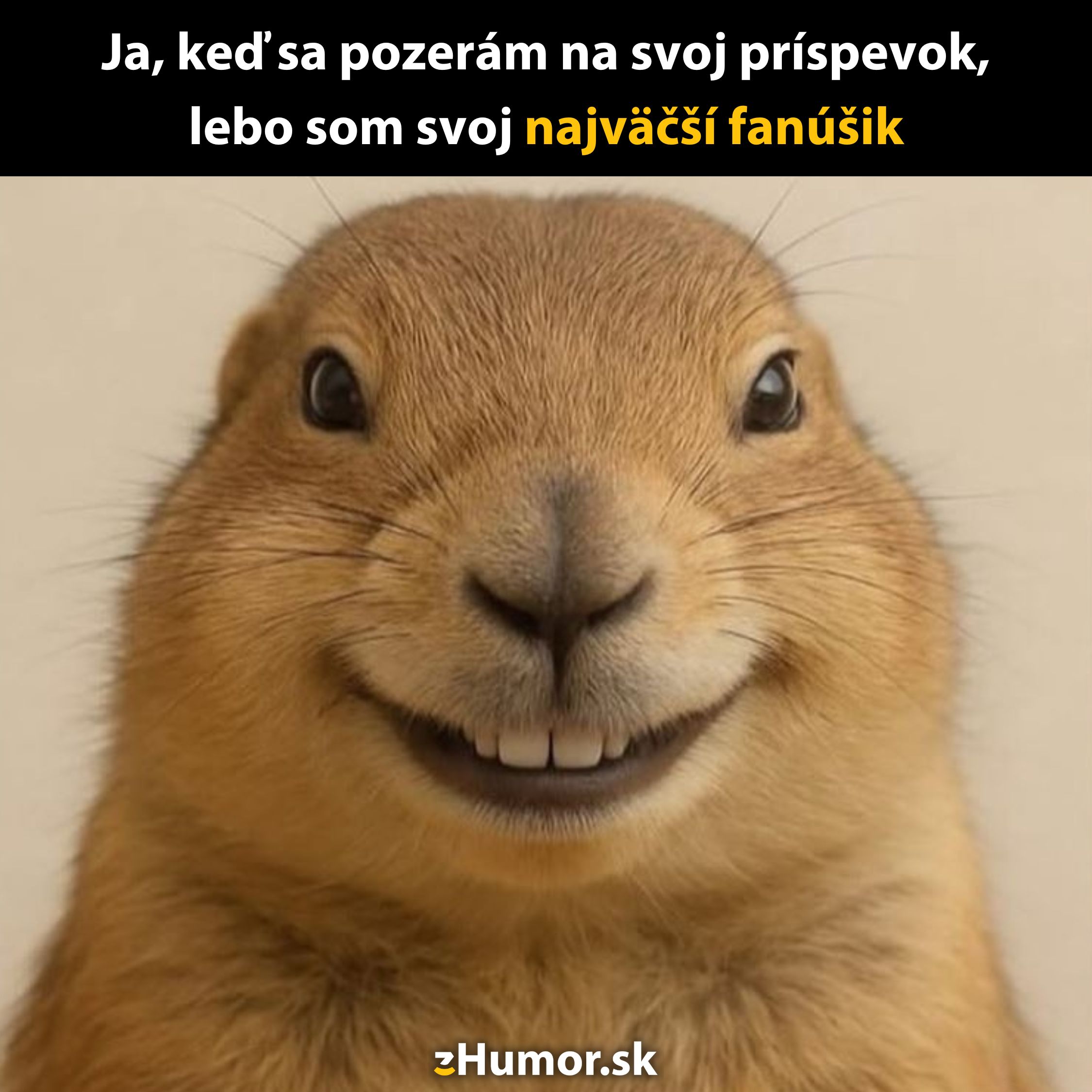 Smejúci sa hlodavec s vtipným textom o sebavedomí a sebavedomom obdivovaní svojich príspevkov.