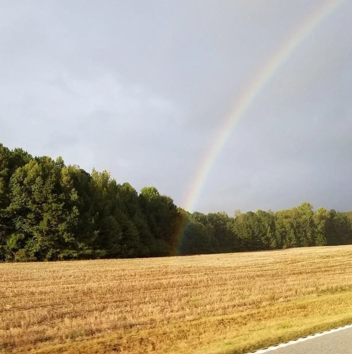Dúha nad lúkou a lesom pod zamračenou oblohou, prírodná scenéria po daždi.