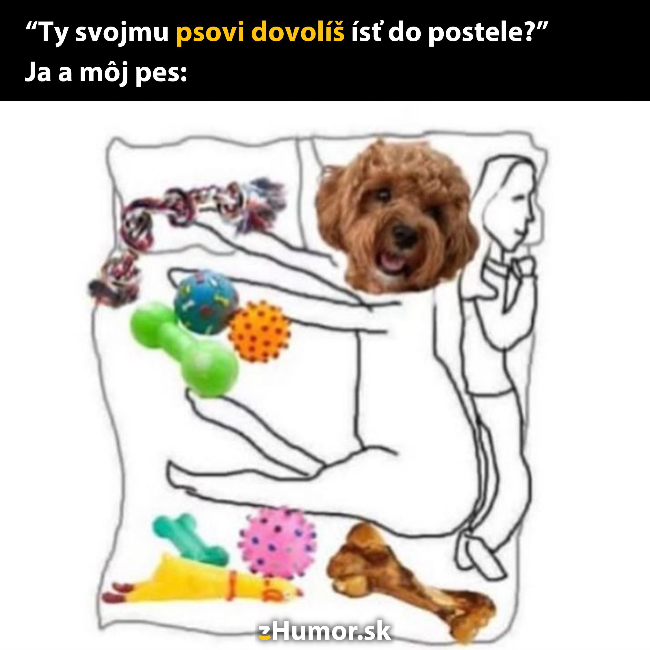 Pes a jeho majiteľ spia v posteli obklopení rôznymi hračkami.