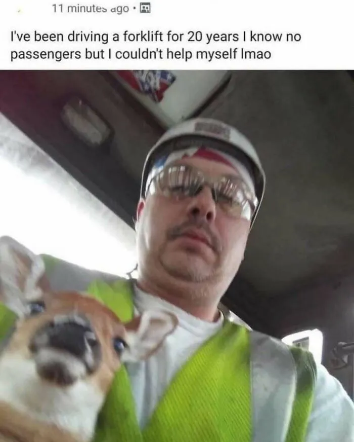 Muž v ochrannom odeve so zvieratkom na vysokozdvižnom vozíku. Úsmevná situácia na pracovisku.