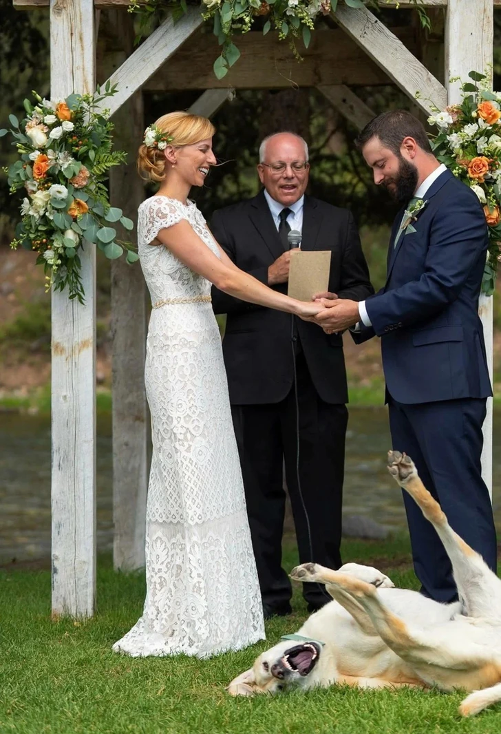 Nevesta a ženích sa smejú pri výmene prsteňov na vonkajšej svadbe s rozkošným psom v popredí.
