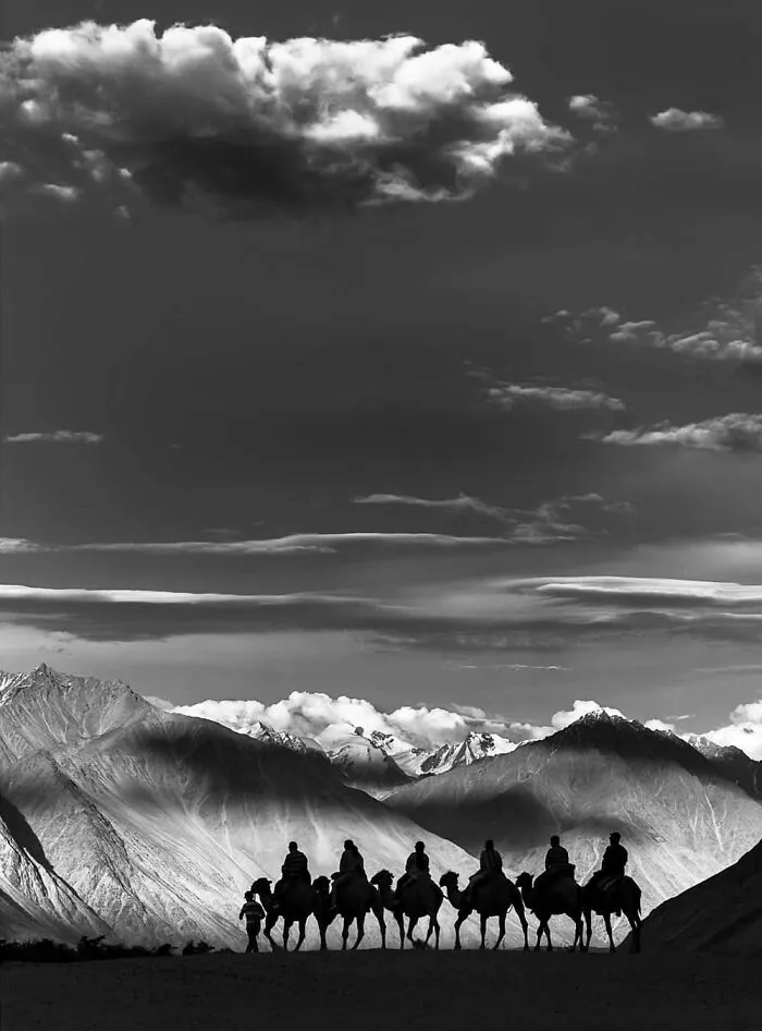 Karavána tiav putuje cez púšť pred majestátnymi horami, dramatická obloha s oblakmi v pozadí.