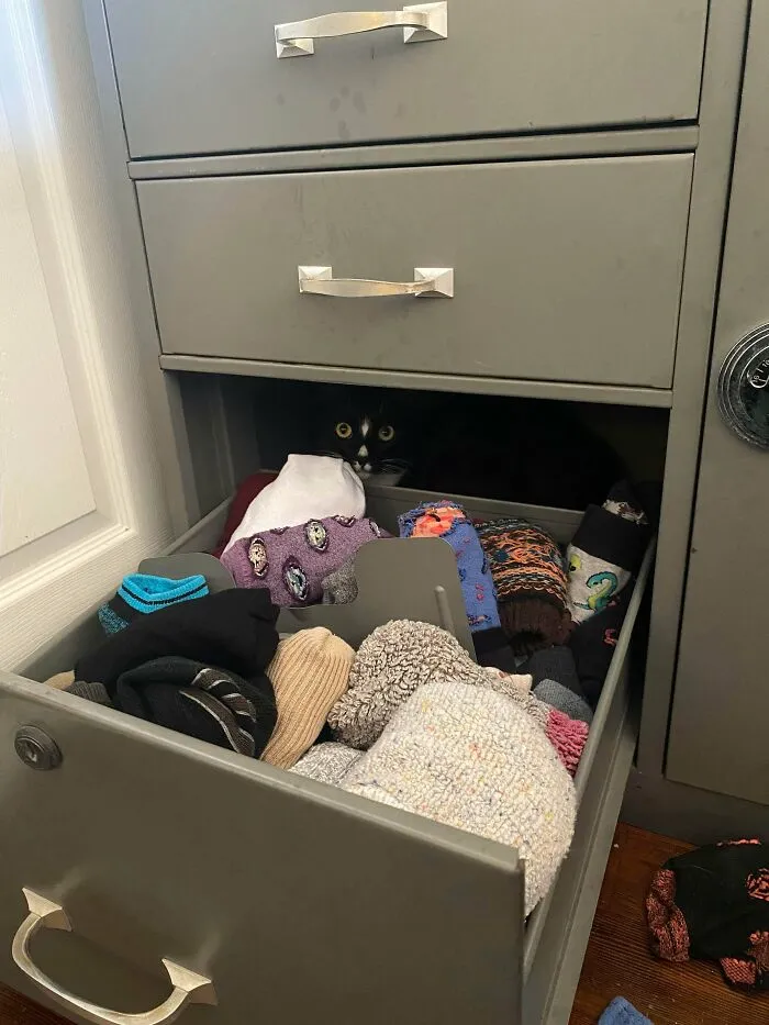 Zásuvka s ponožkami, kde sa ukrýva mačka s očami žiariacimi v tme, pohľad vyzerá zábavne a nečakane.