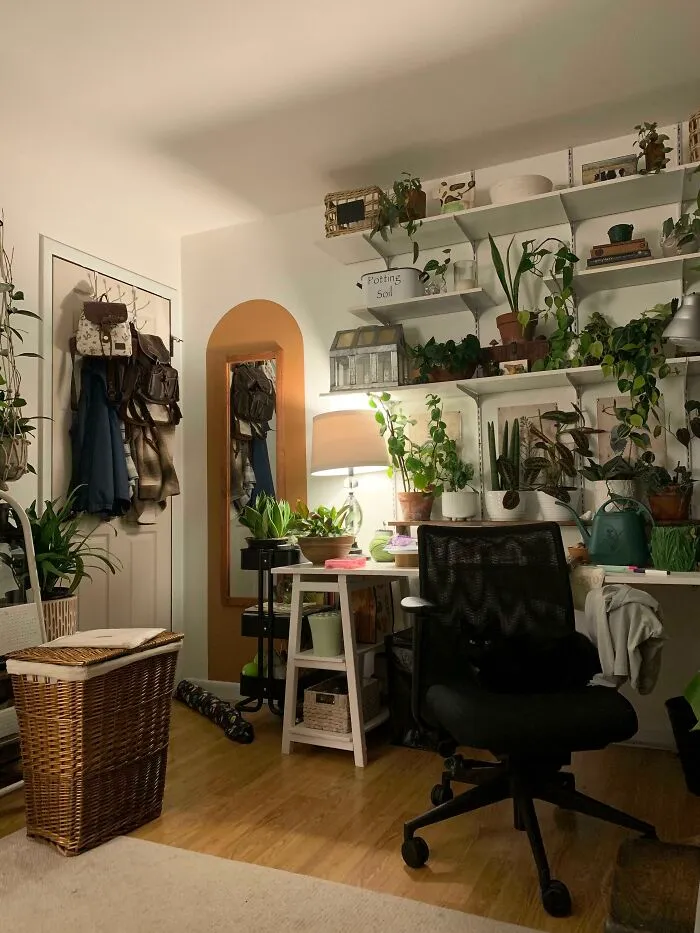 Izba plná izbových rastlín, s policami a kancelárskou stoličkou, osvetlená lampou v útulnom prostredí.