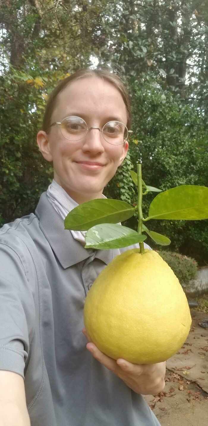 Osoba držiaca veľký citrusový plod v záhrade, oblečená v sivej košeli, s úsmevom na tvári.