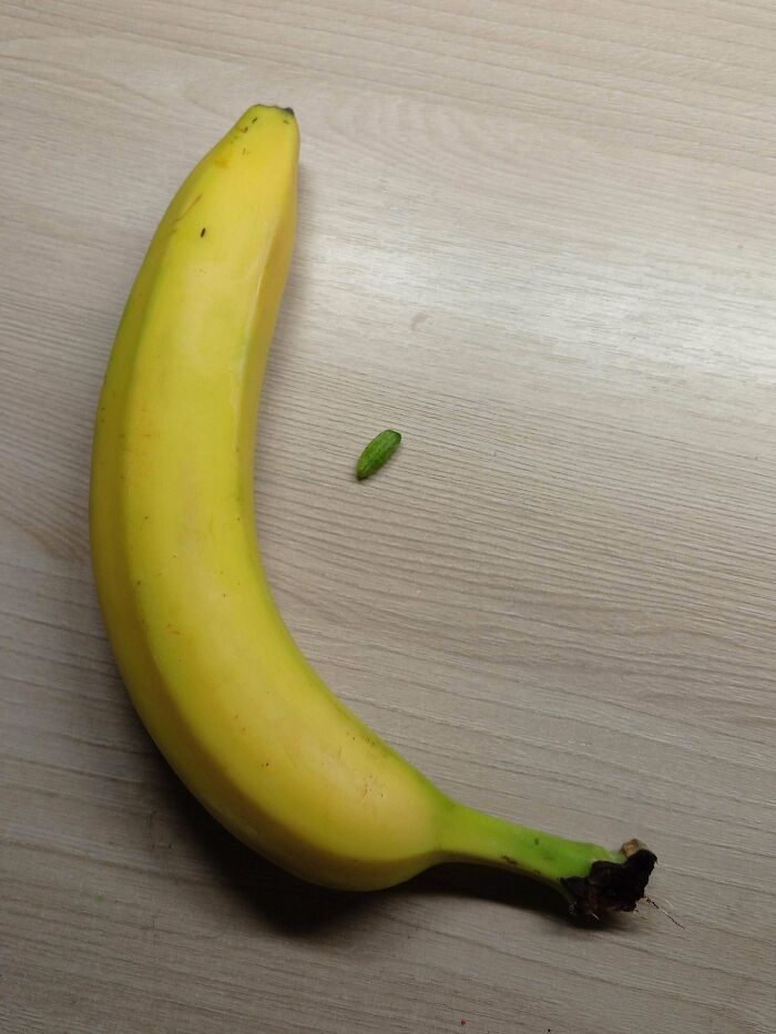 Banán na drevenom povrchu vedľa malého zeleného hmyzu.