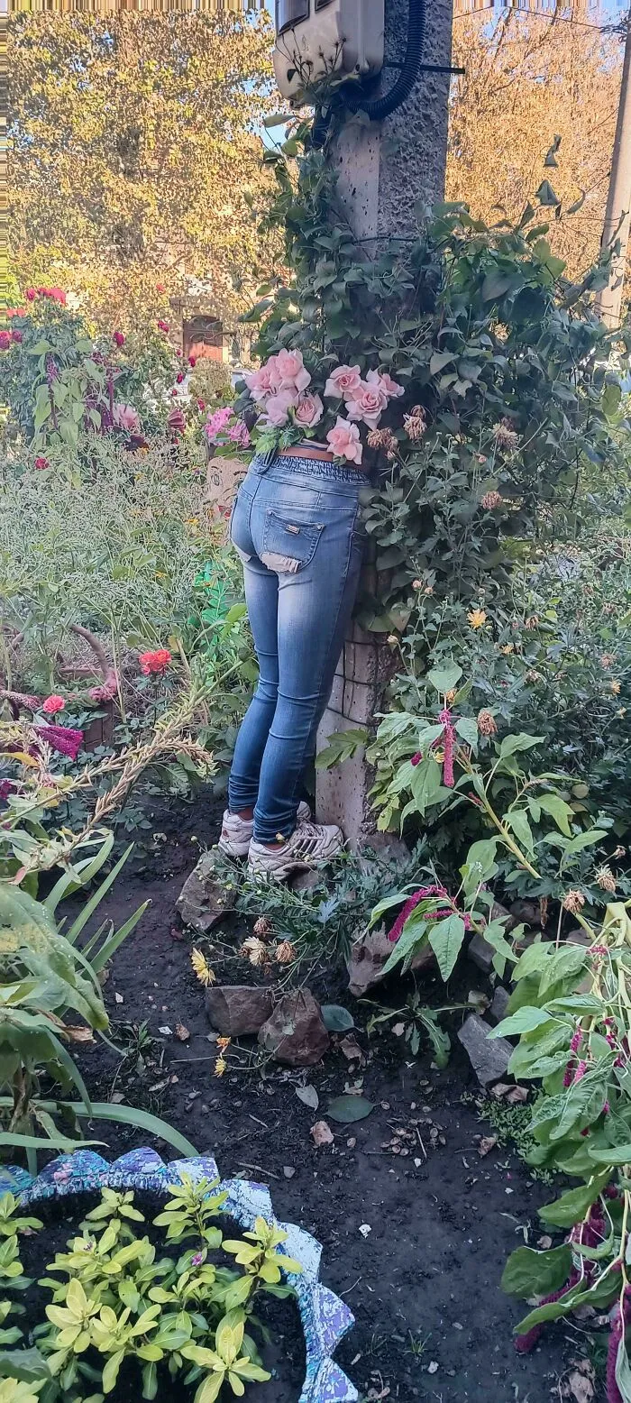 Osoba v džínsach s ružami namiesto hlavy stojí v záhrade plnej kvetov.