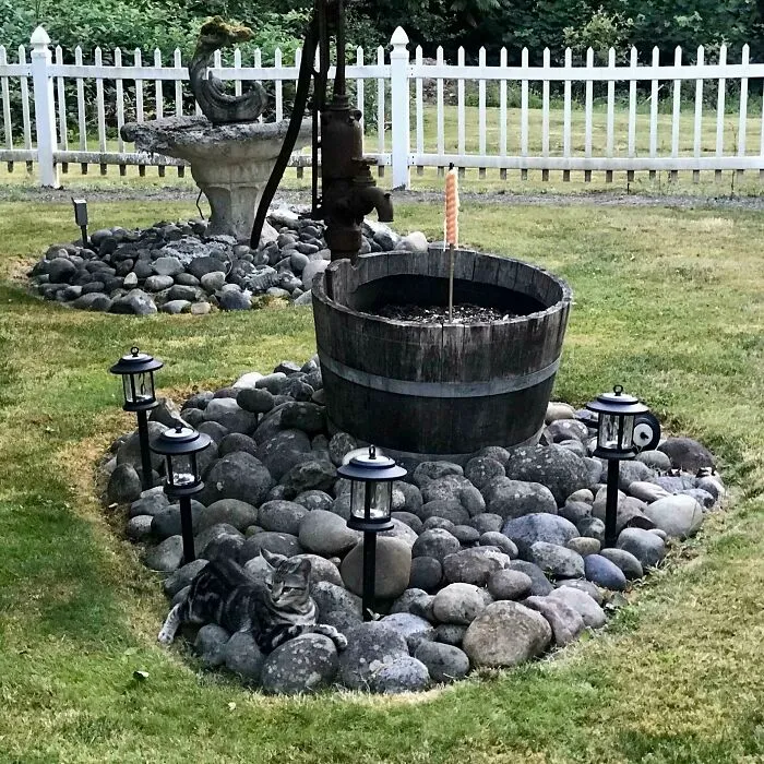 Mačka leží na kamennom záhone v záhrade s lampami a dreveným sudom vedľa čerpadla pri bielom plote.