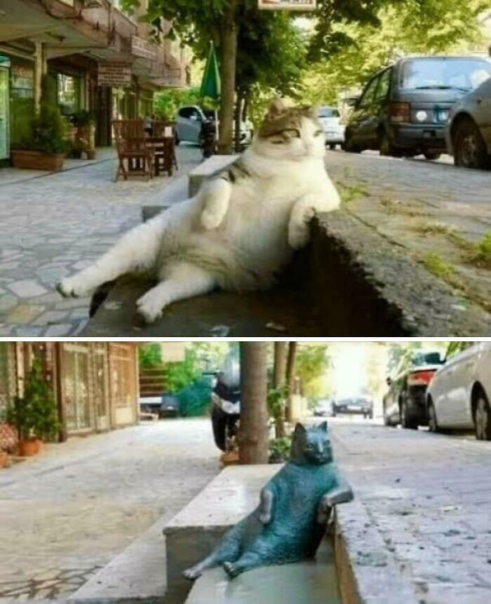 Ležérna mačka na ulici pózuje na obrubníku, vedľa jej sochy kto relaxuje rovnako.
