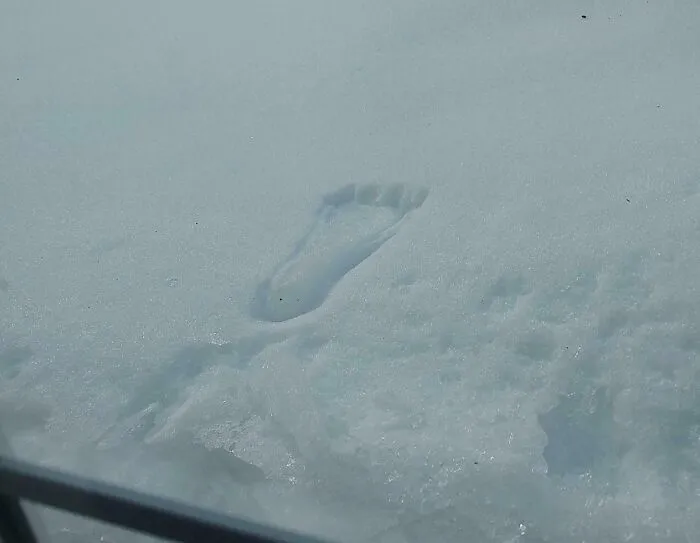 Odtlačok ľudskej bosnej nohy v snehu počas zimnej túry v horách.