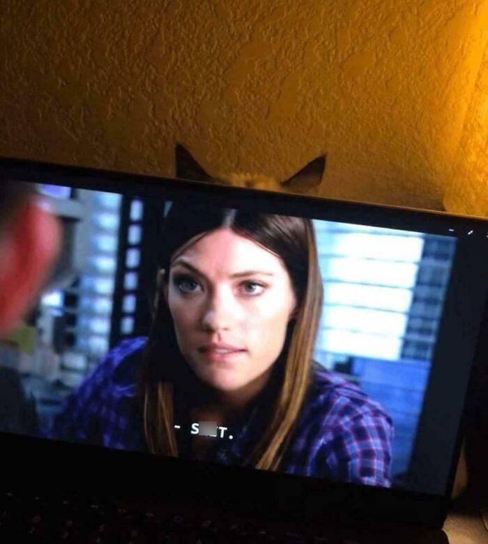 Počítač prehráva video s napätou scénou, nad obrazovkou sú viditeľné mačacie uši.