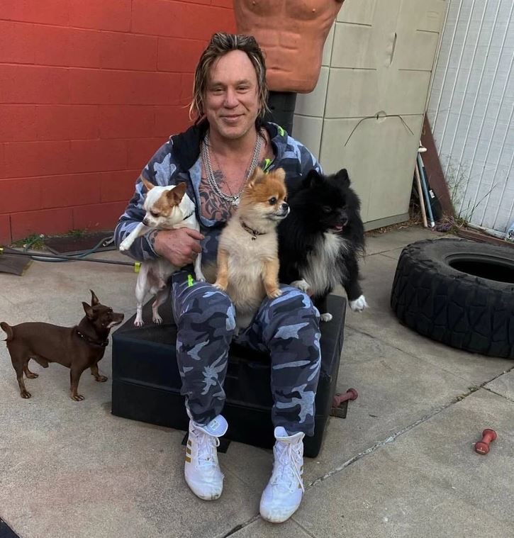 Muž v maskáčovom oblečení s tromi malými psami na dvore, v pozadí pneumatiky a socha trupu.