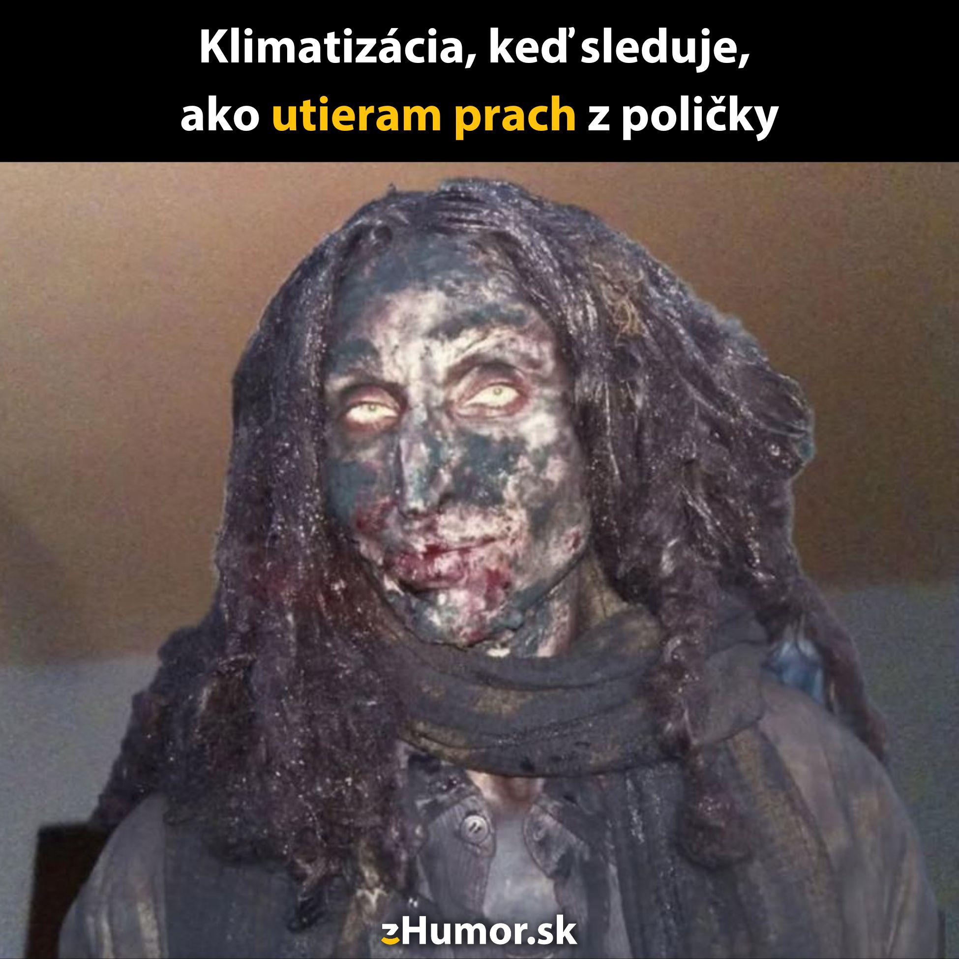 Ponuré vyjadrenie klimatizácie pozorujúcej niekoho, kto utiera prach z poličky.