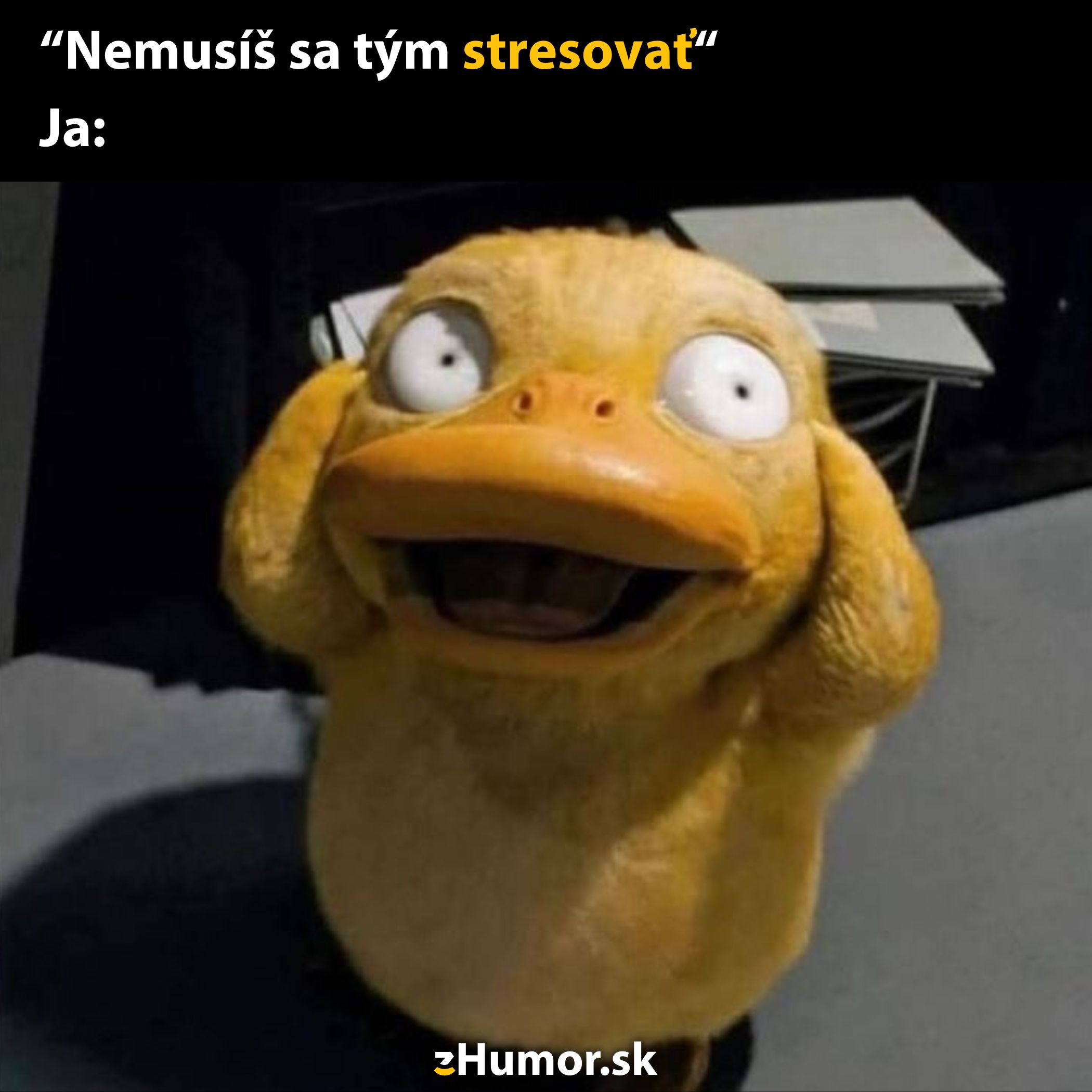 Káčer drží hlavu s výrazom úzkosti, text: Nemusíš sa tým stresovať.