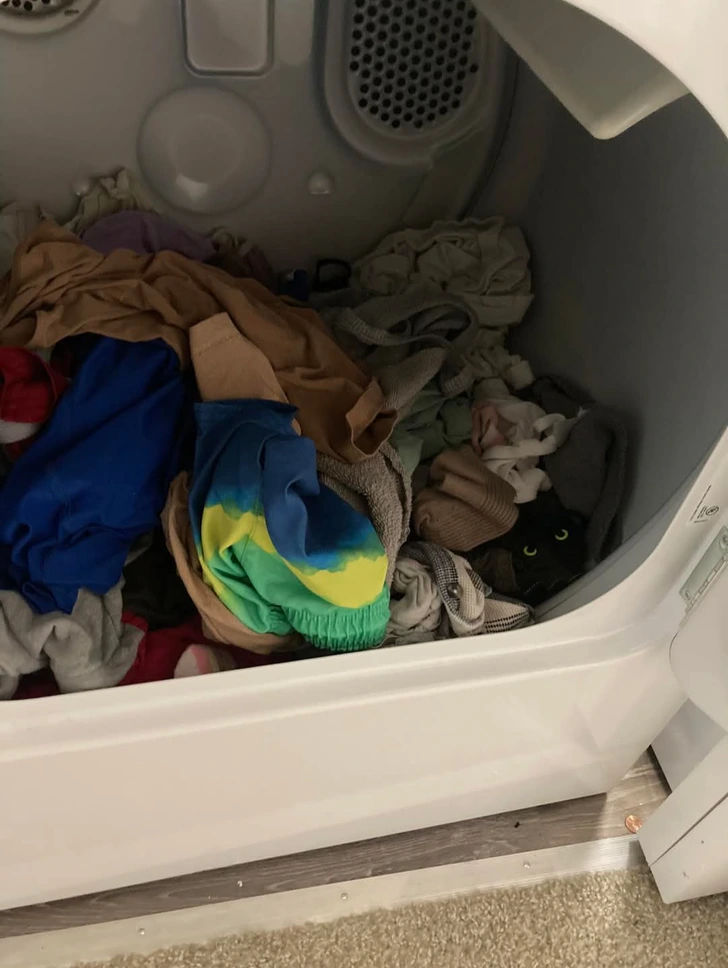 Obrázok otvorenej sušičky plnej farebného oblečenia s mačkou schovanou medzi vecami.