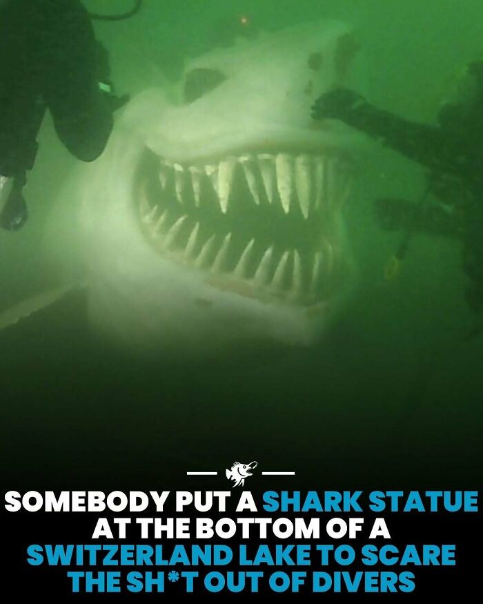 Potápač pri sochárskej inštalácii žraloka na dne švajčiarskeho jazera, ktorá má strašiť návštevníkov.