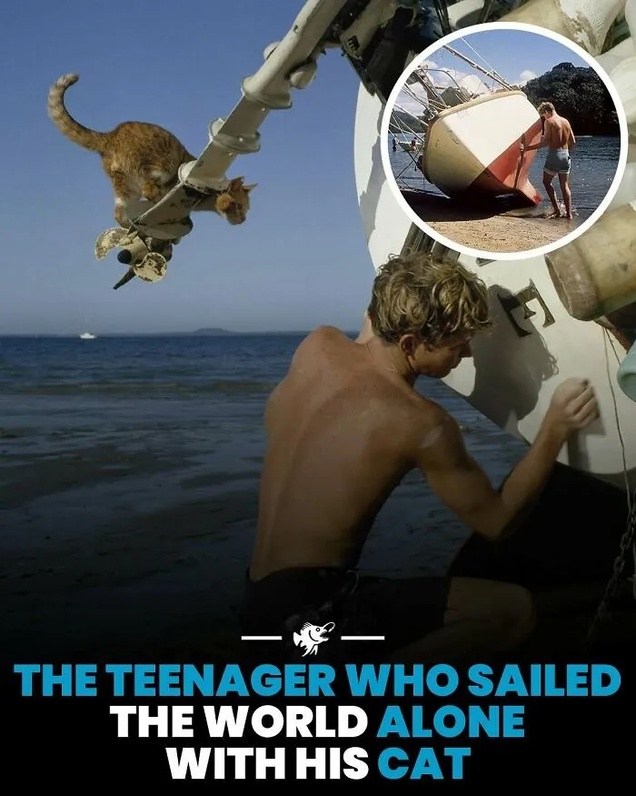 Mladík so svojou mačkou na plachetnici objavuje svetové pobrežia a dobrodružstvá na mori.