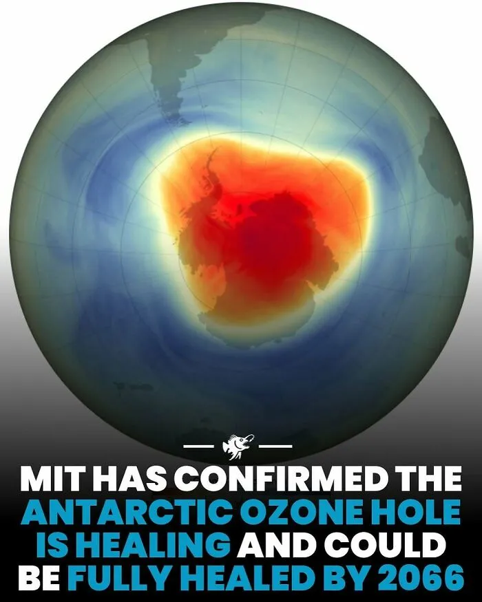 Vesmírny pohľad na Antarktídu ukazuje ozónovú dieru, ktorá sa podľa MIT postupne uzdravuje.
