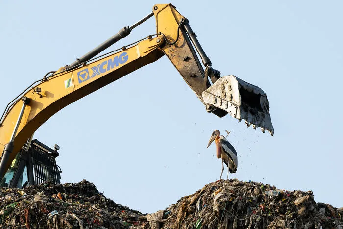 Bager s lopatou hľadí na bociana na smetisku pod modrou oblohou, symbolizujúci konflikt medzi prírodou a priemyslom.