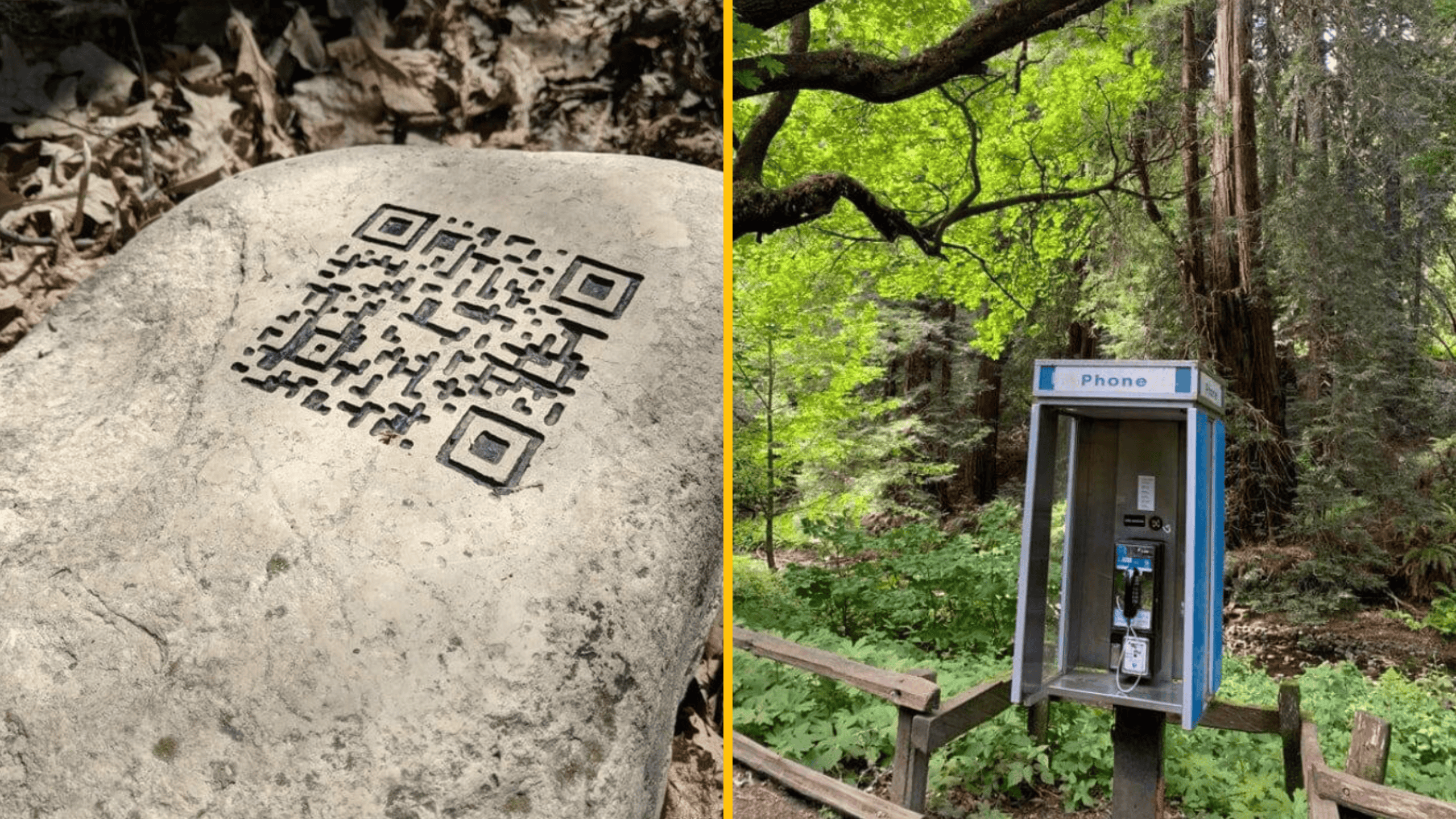 QR kód vtesaný do kameňa a telefónna búdka uprostred lesa, príroda sa stretáva s technológiou.