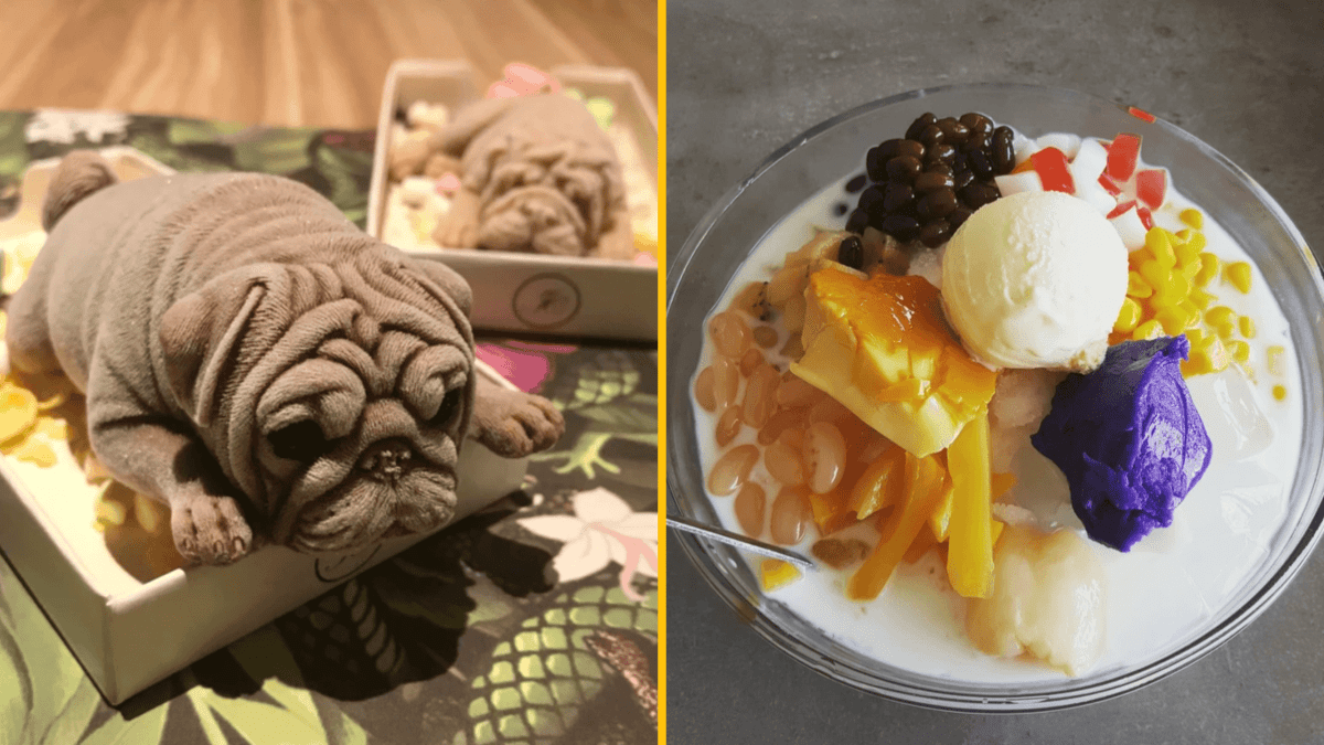 Vľavo zmrzlina v tvare psíka, vpravo exotický dezert s rôznorodými prísadami a kopčekom zmrzliny.