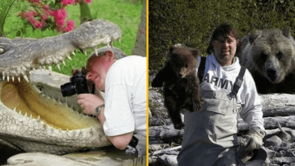 Fotograf v nebezpečenstve medzi čeľusťami krokodíla, muž s medveďom a mláďaťom v lese.