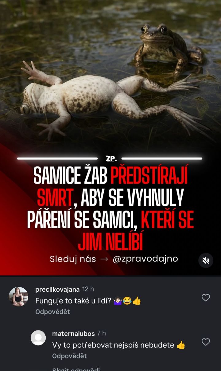 Žaba leží na chrbte vo vode, pričom ďalšia žaba je vedľa nej. Text o predstieraní smrti žab.