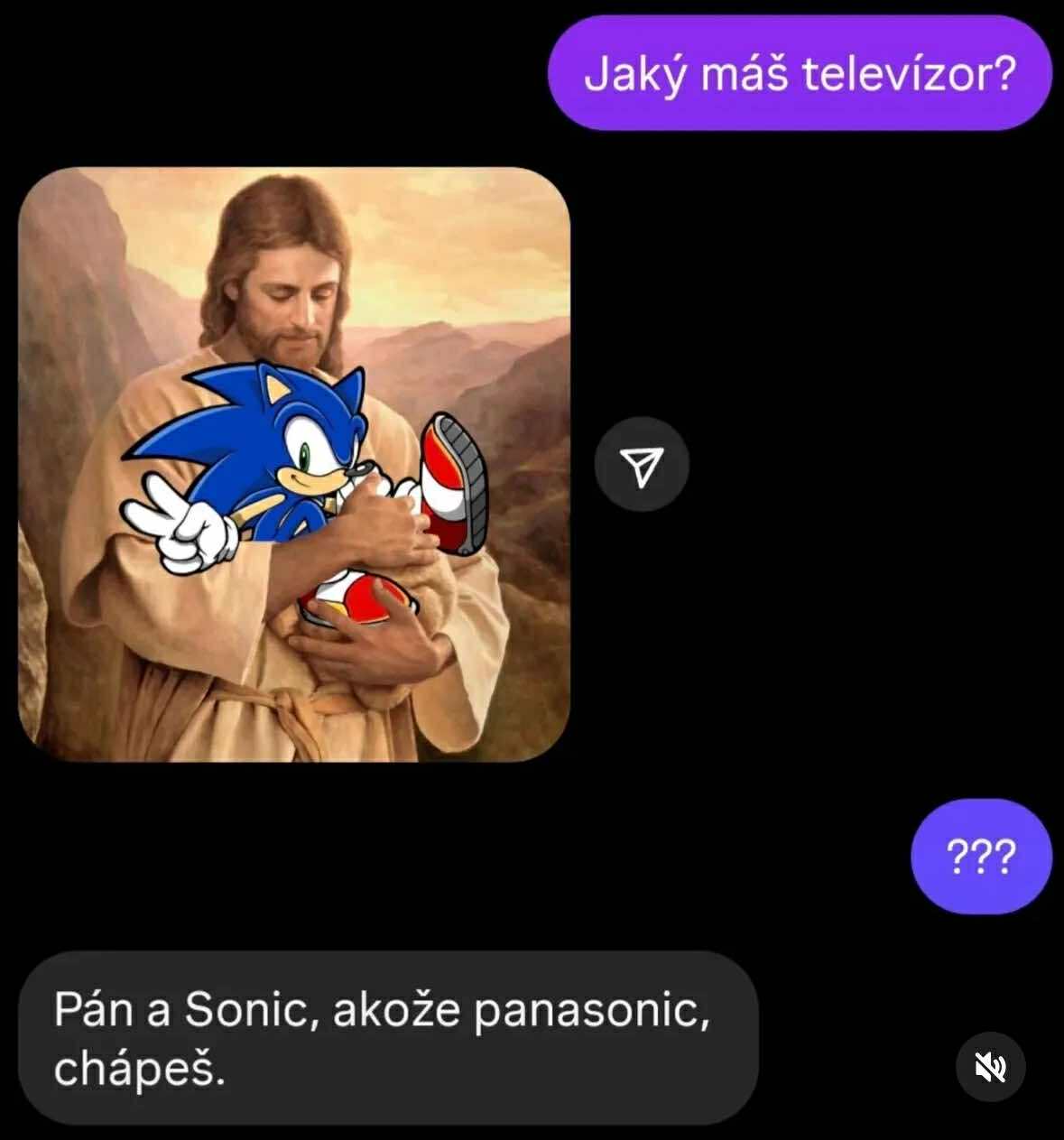 Obrázok s vtipným slovným hračkom: Pán a Sonic ako paródia na Panasonic.