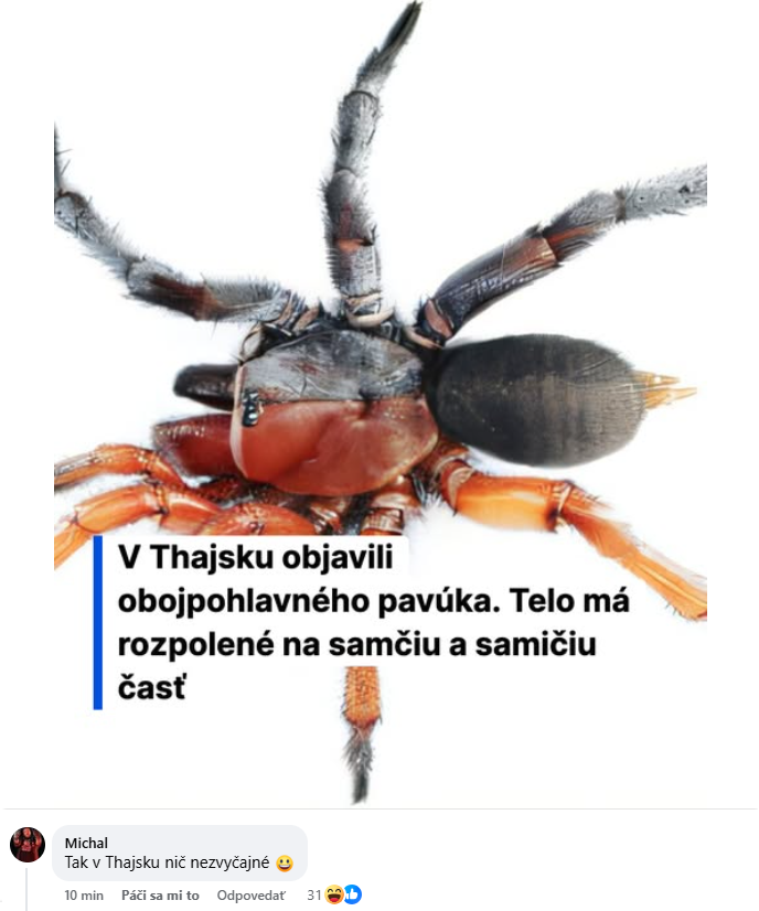 Obojpohlavný pavúk v Thajsku: polovica tela samčia, druhá samičia. Unikátna biologická zvláštnosť.