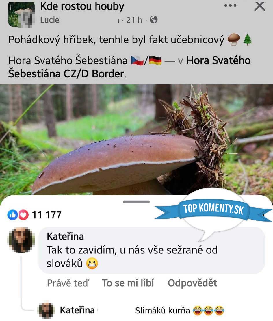 Hríbik v lese na hranici ČR a Nemecka pri hore Svätého Šebestiána, Facebooková diskusia o zbere húb.