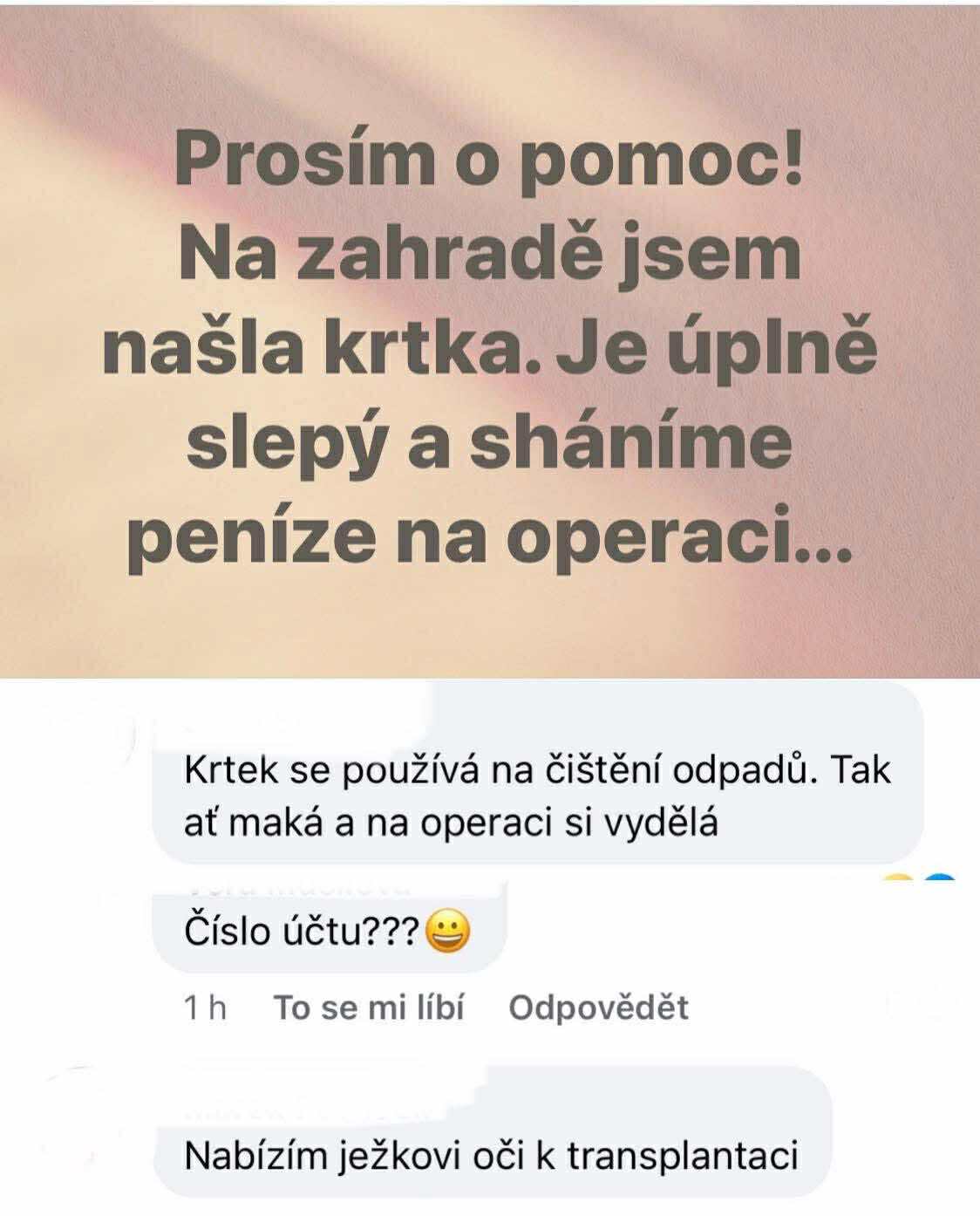 Na záhradke našli slepého krtka, žiadajú pomoc na operáciu; komentáre navrhujú rôzne riešenia a vtipkujú.
